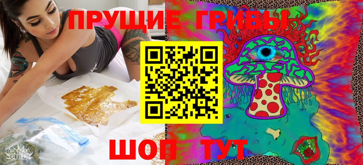 Псилоцибиновые грибы мицелий Зерноград